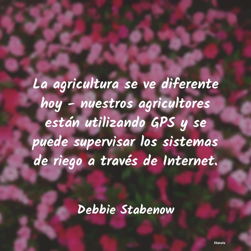 frases de Debbie Stabenow