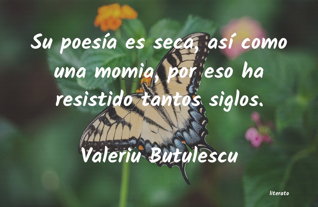 Frases de Valeriu Butulescu