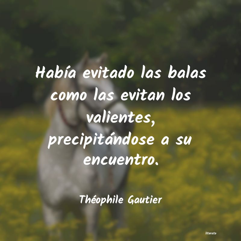 Frases de Théophile Gautier