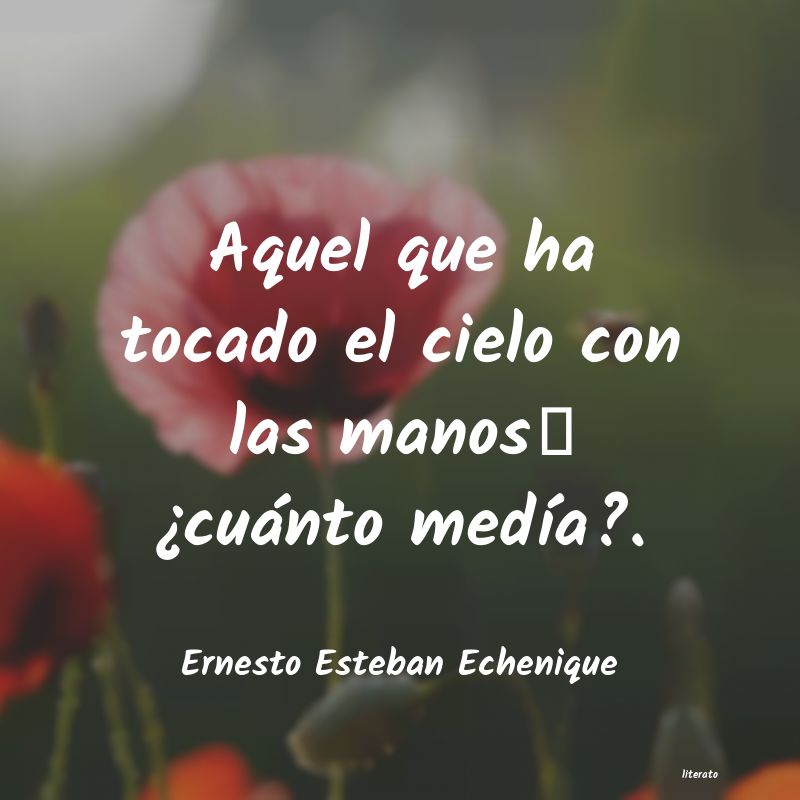 frases de Ernesto Esteban Echenique