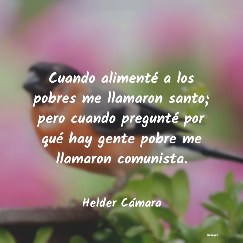 Frases de Helder Cámara