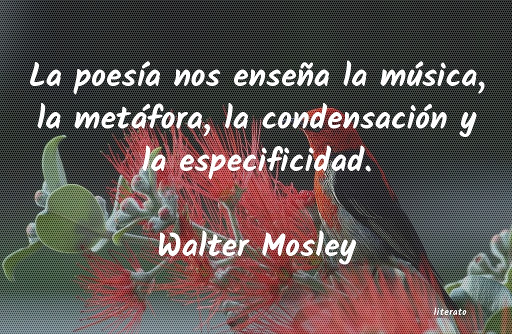 frases de Walter Mosley
