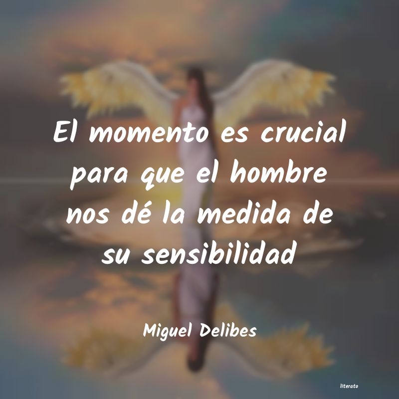 frases de Miguel Delibes