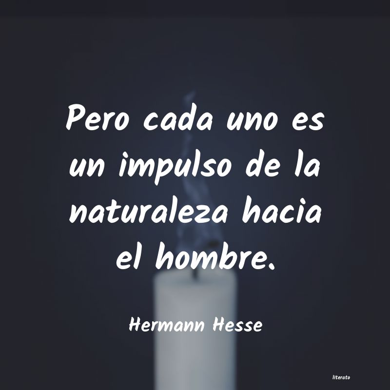 frases de Hermann Hesse