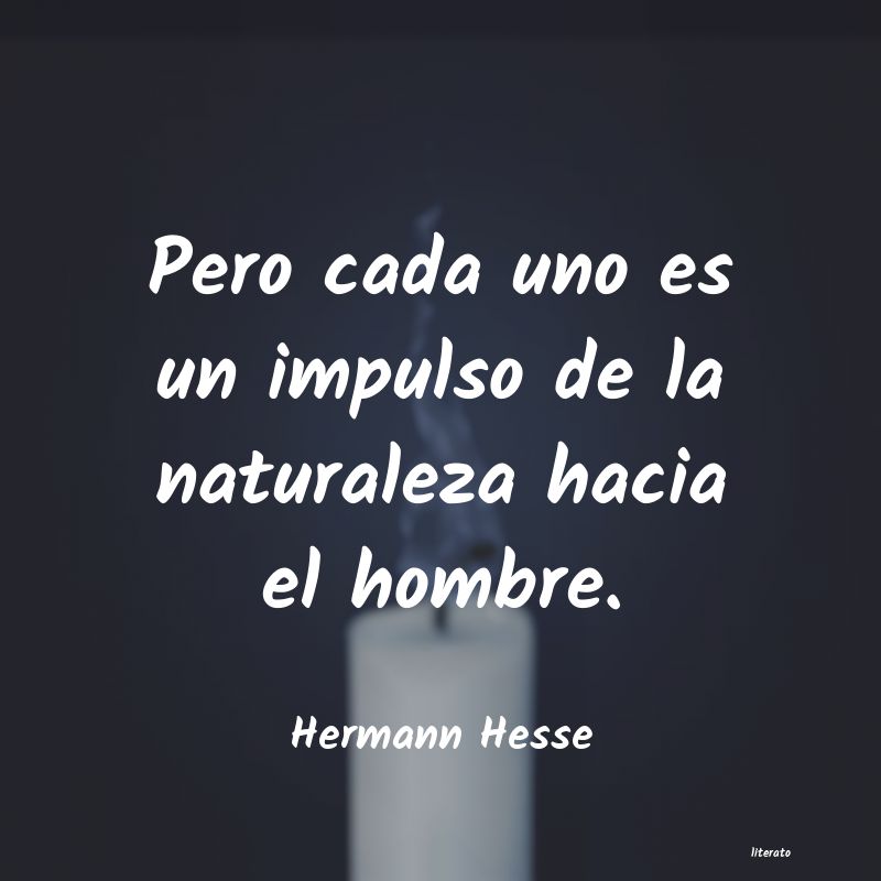 frases de amor de hermann hesse