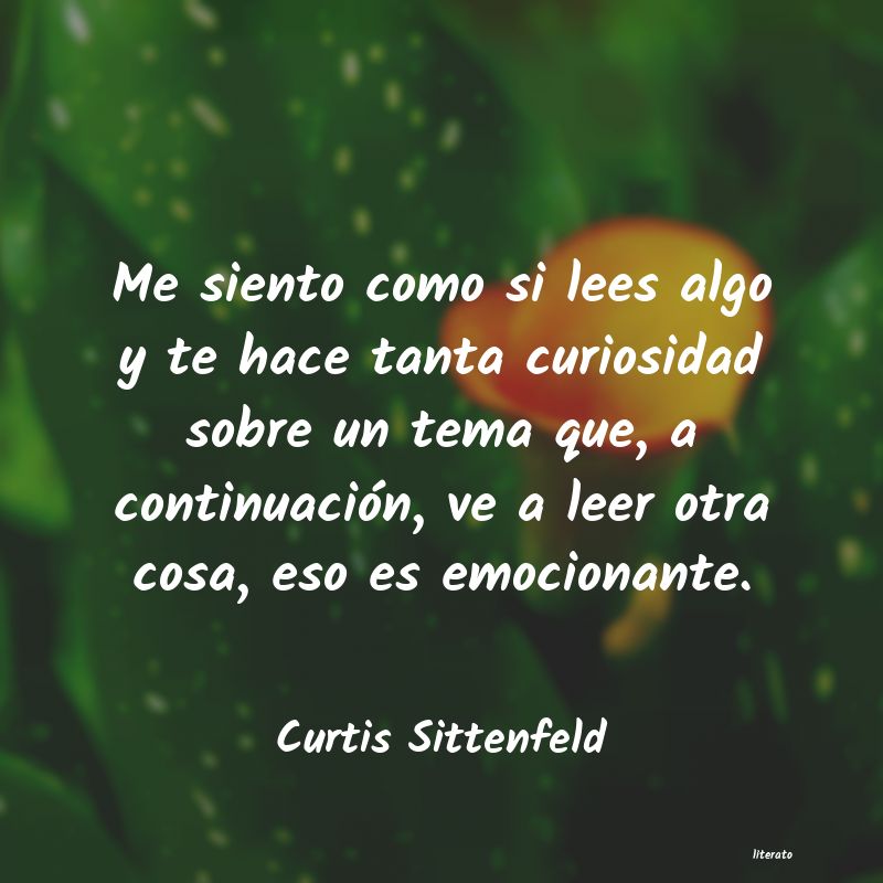 Frases de Curtis Sittenfeld