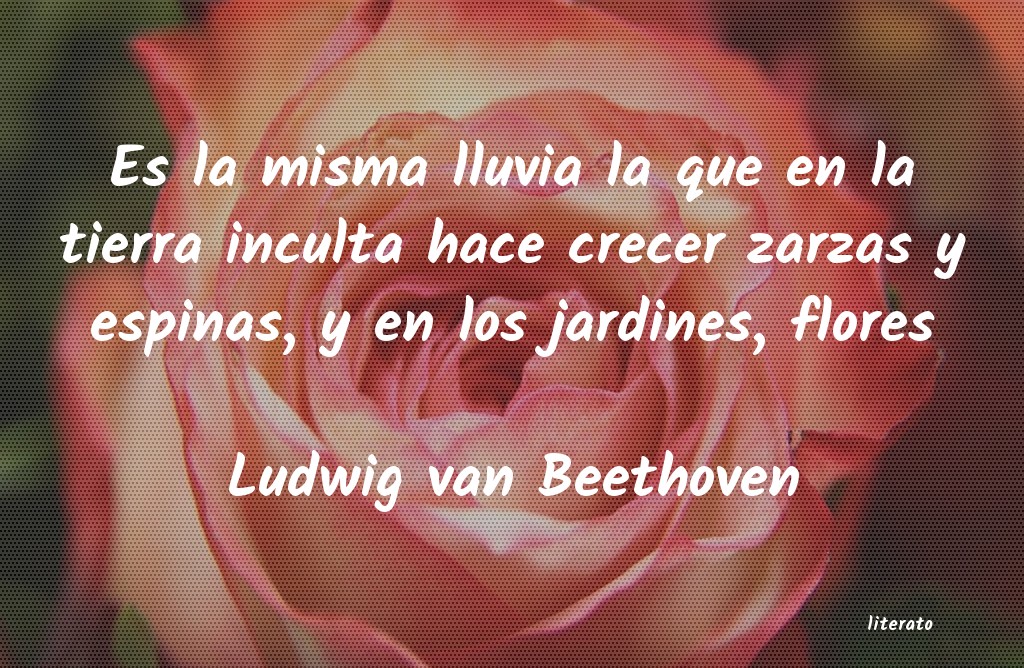 Frases de Ludwig van Beethoven