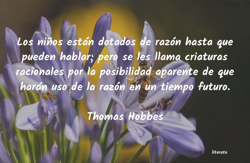 Frases de Thomas Hobbes