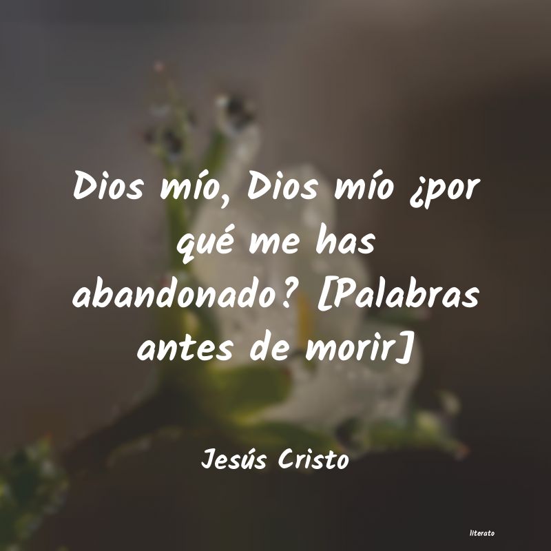 Frases de Jesús Cristo