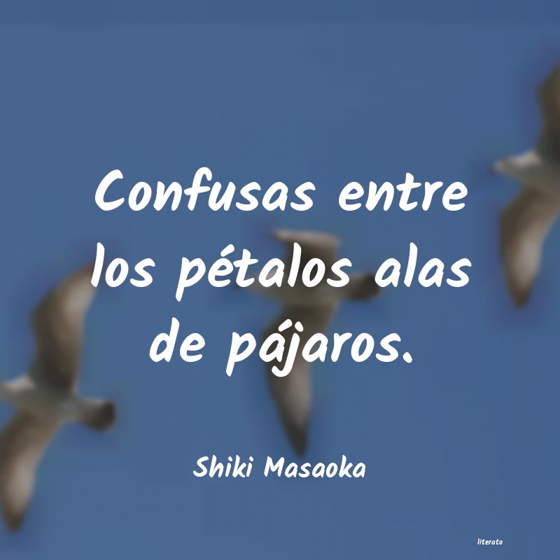 frases de Shiki Masaoka
