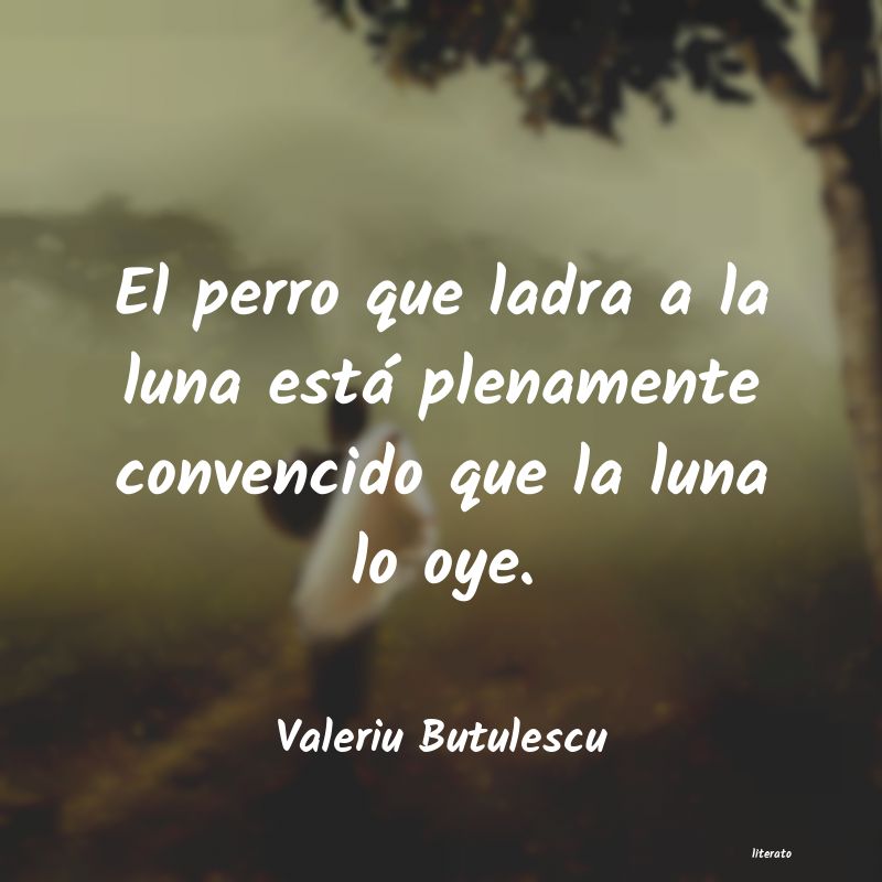 Frases de Valeriu Butulescu