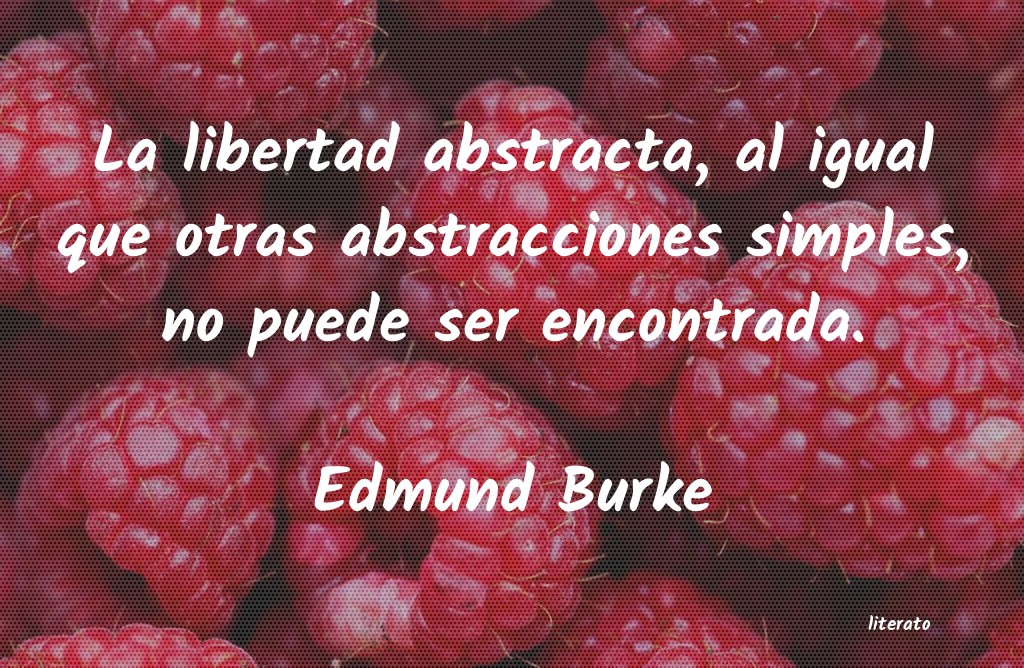 Frases de Edmund Burke