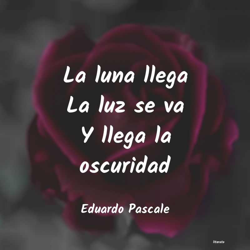 Frases de Eduardo Pascale