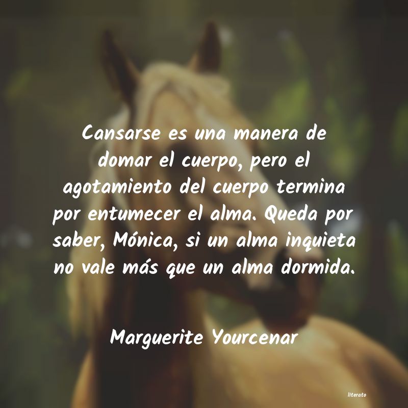 Frases de Marguerite Yourcenar