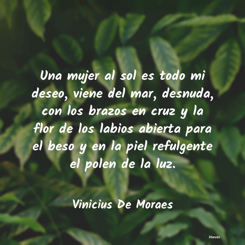 Frases de Vinicius De Moraes