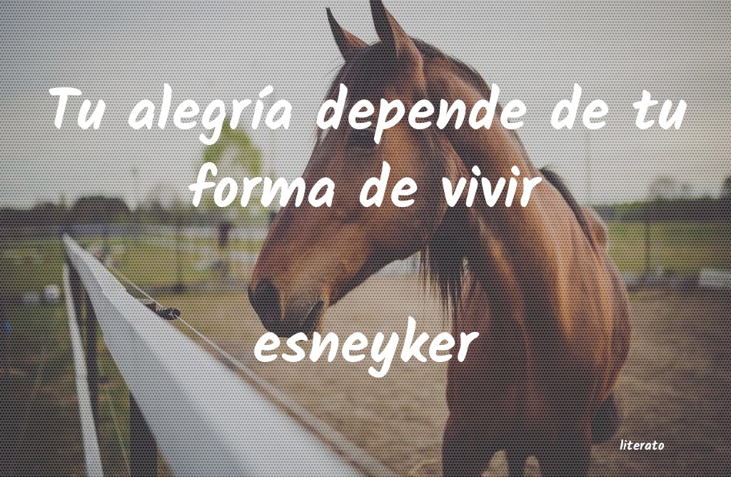 Frases de esneyker