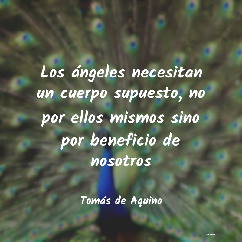 Frases de Tomás de Aquino