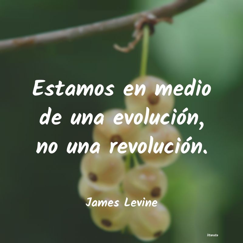 Frases de James Levine