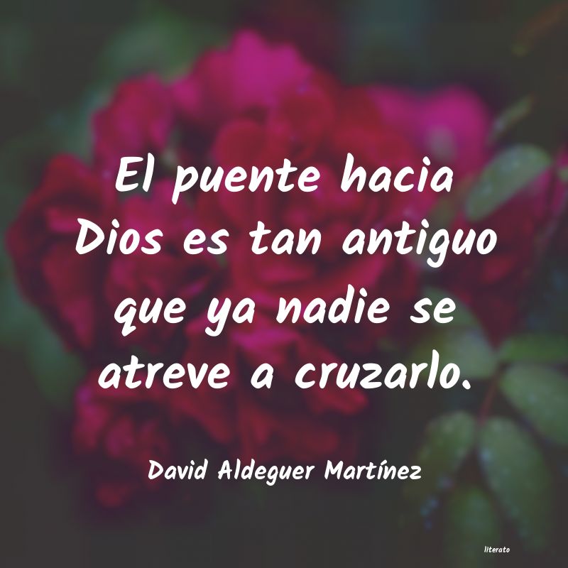 Frases de David Aldeguer Martínez