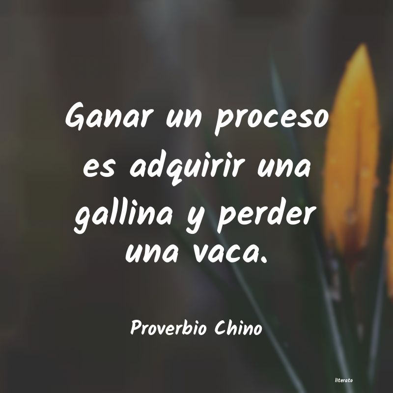 Frases de Proverbio Chino