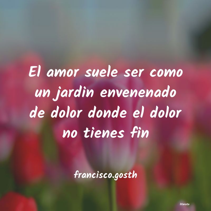 Frases de francisco.gosth