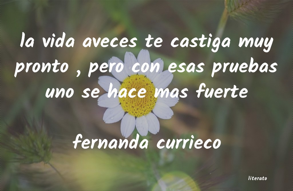 frases de fernanda currieco