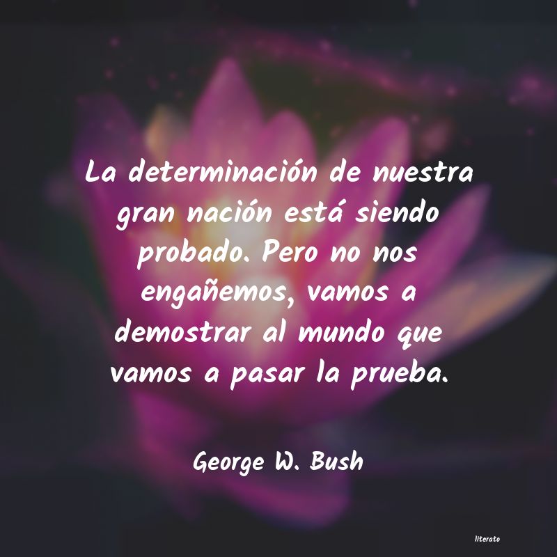 frases de George W. Bush