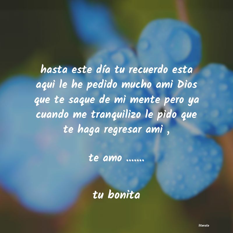 frases de tu bonita