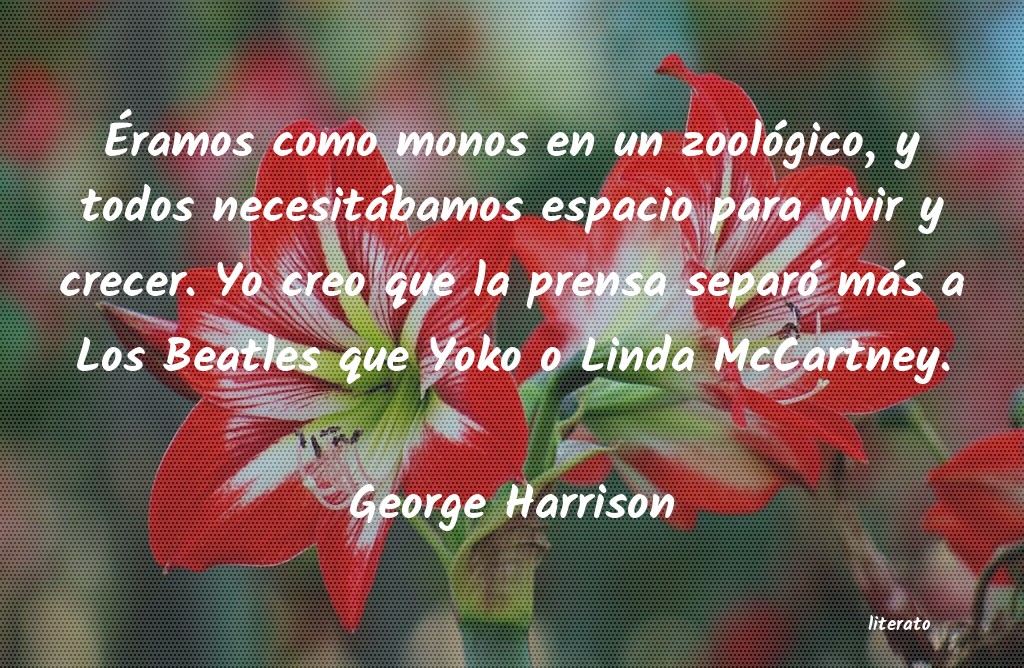 frases de George Harrison