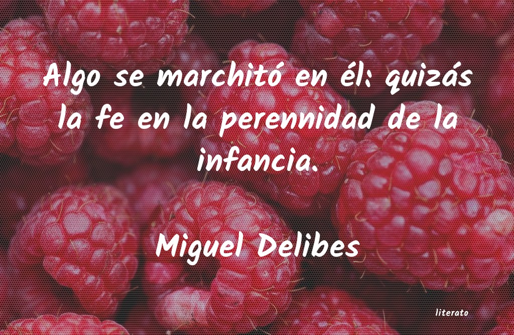 Frases de Miguel Delibes