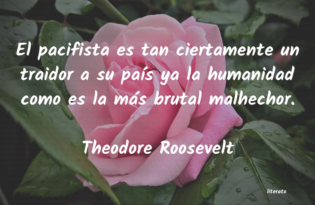 Frases de Theodore Roosevelt