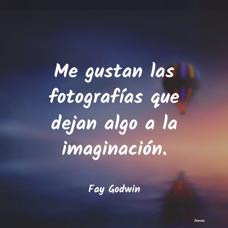 Frases de Fay Godwin