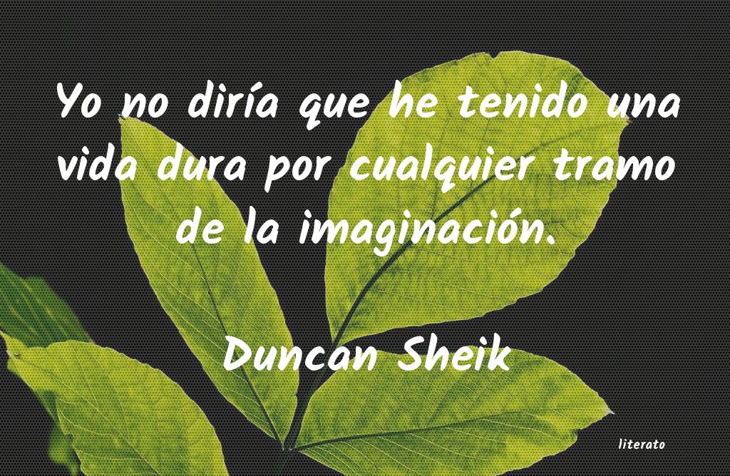 Frases de Duncan Sheik