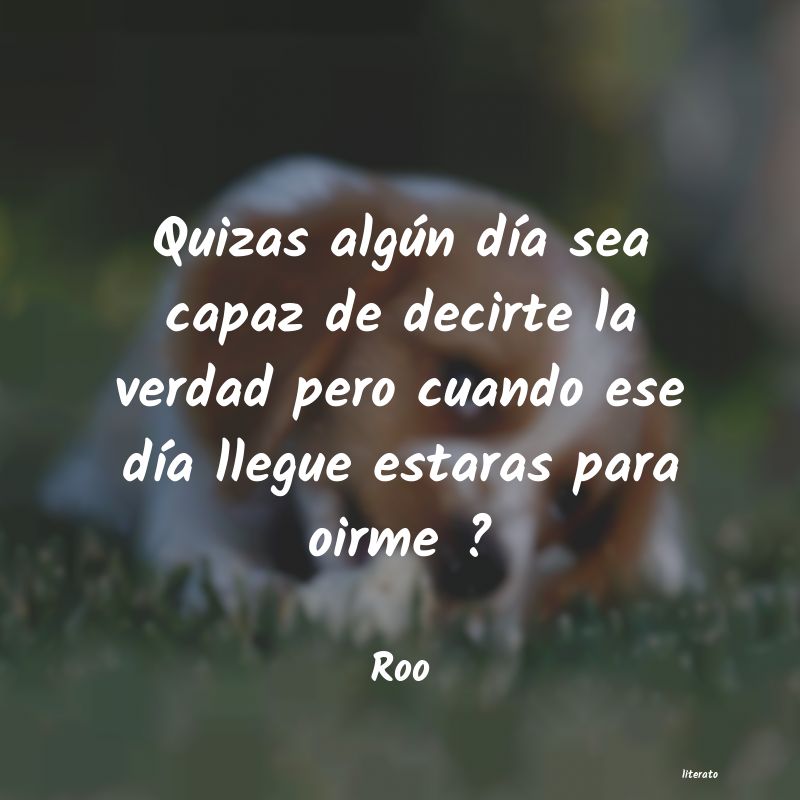 Frases de Roo