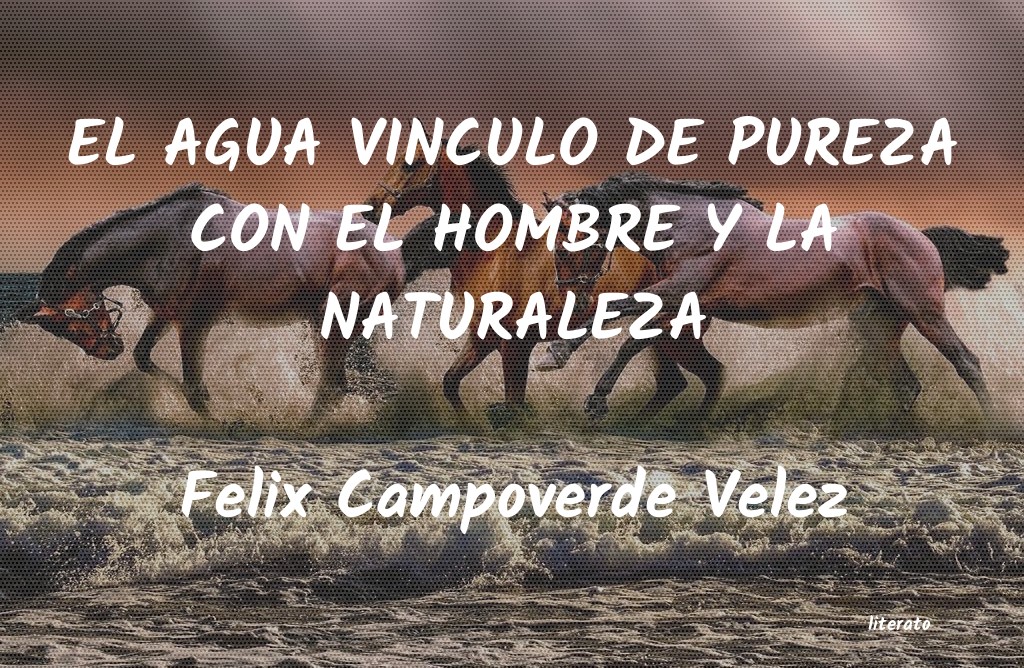 frases de Felix Campoverde Velez