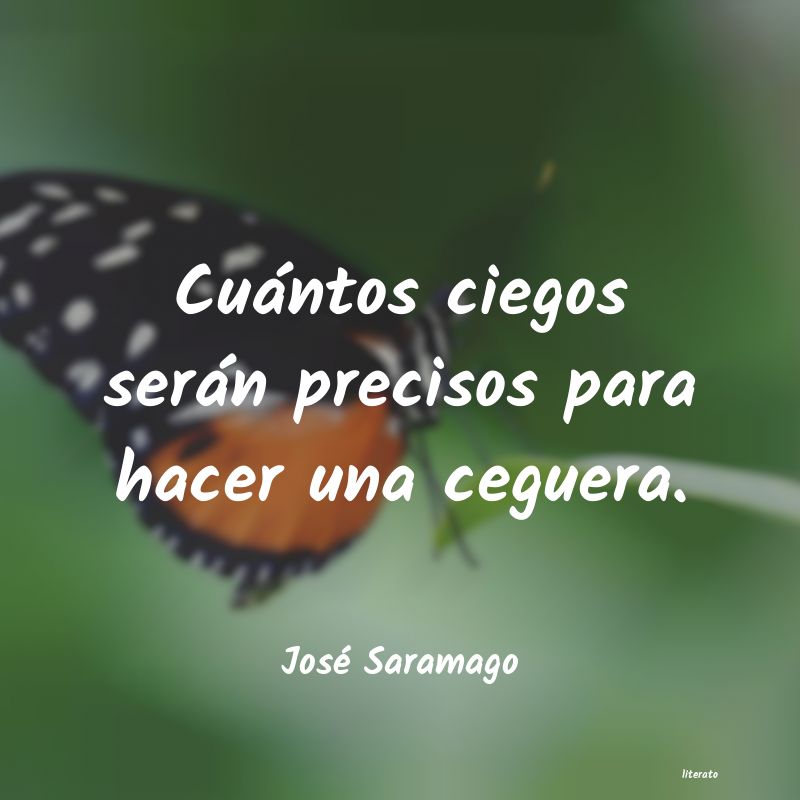 Frases de José Saramago