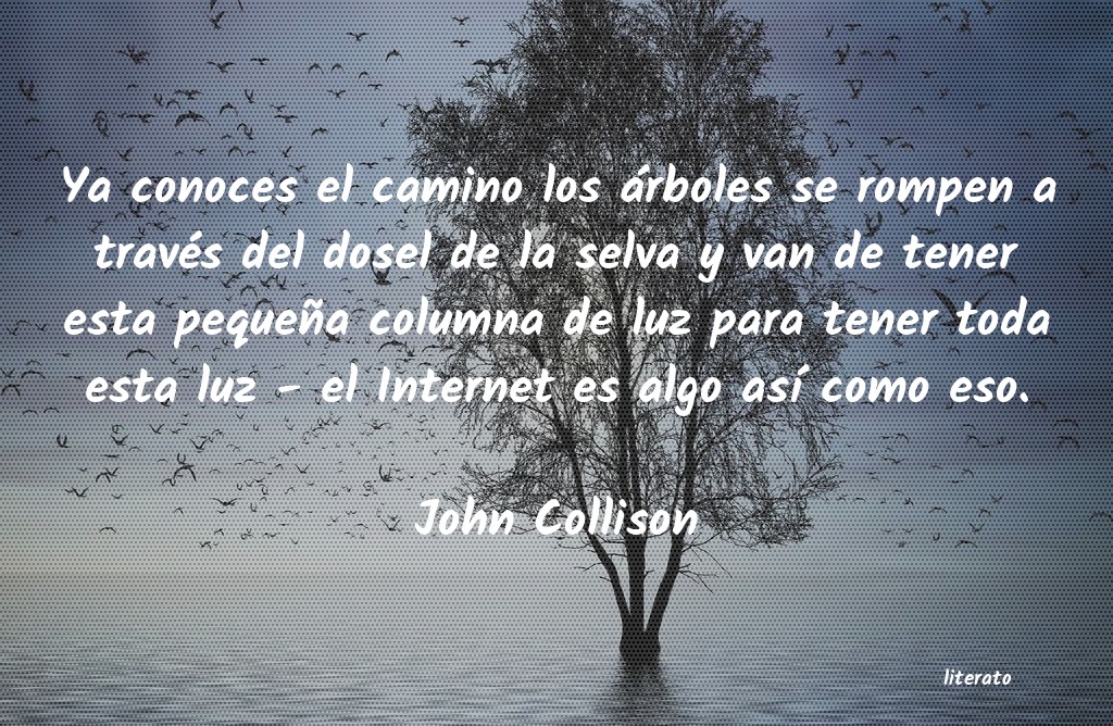 Frases de John Collison