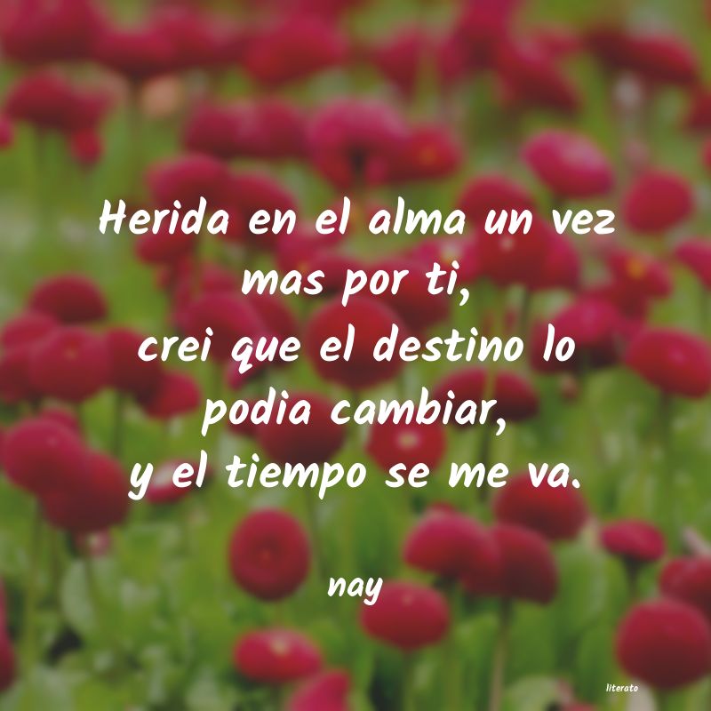 frases de nay