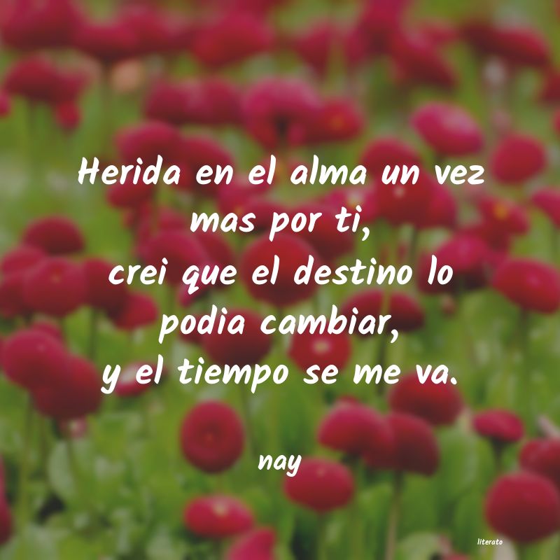 Frases de nay