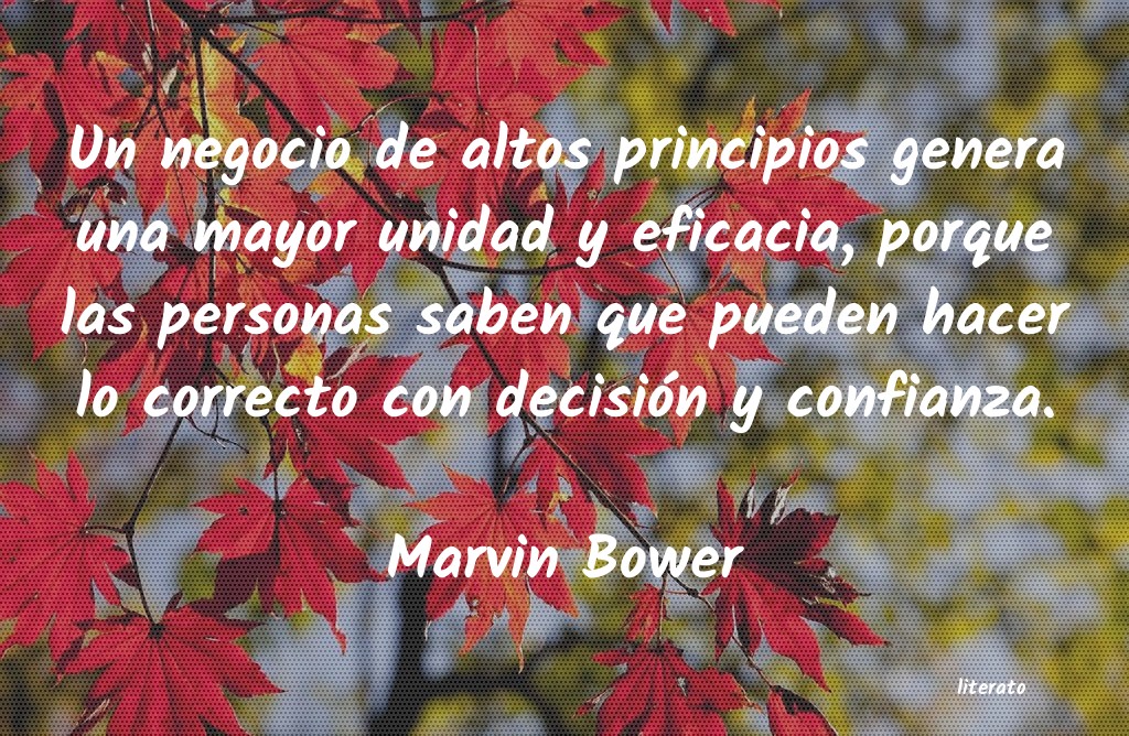 Frases de Marvin Bower