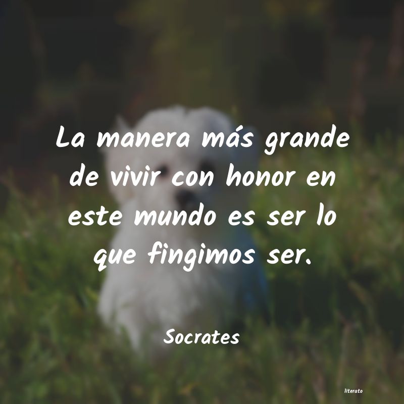 Frases de Socrates