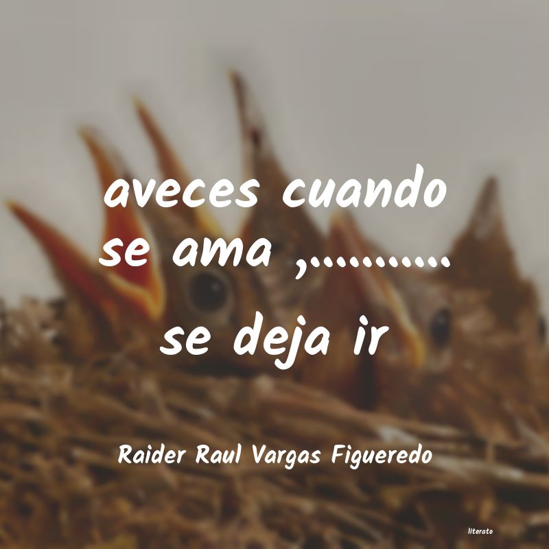 Frases de Raider Raul Vargas Figueredo