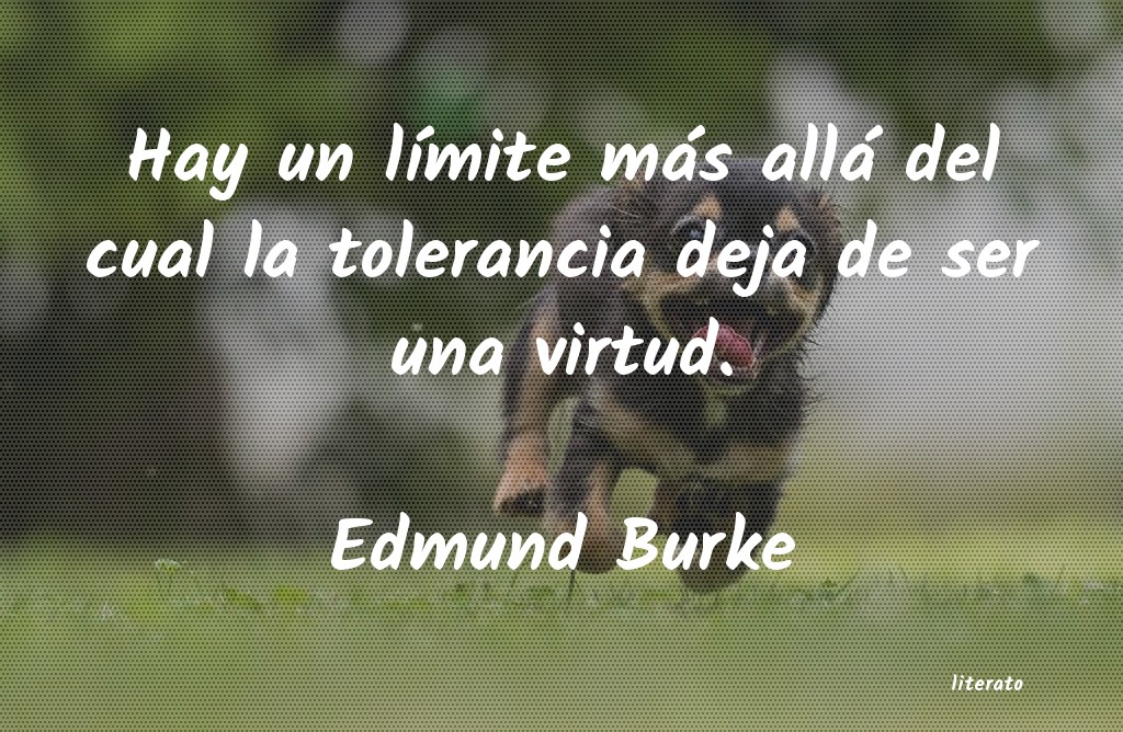 Frases de Edmund Burke