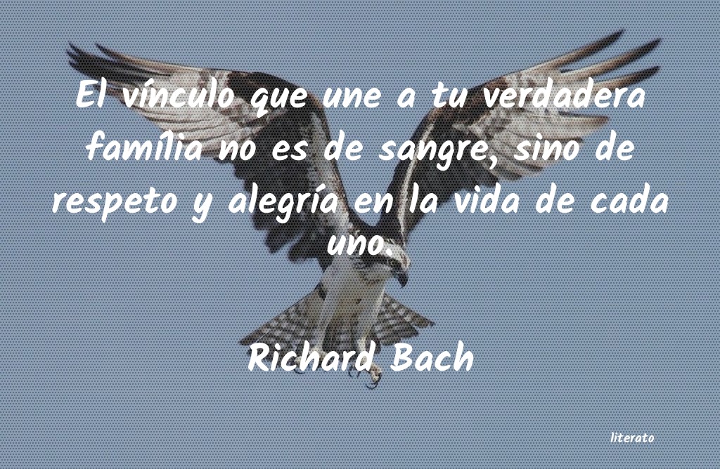 frases de Richard Bach