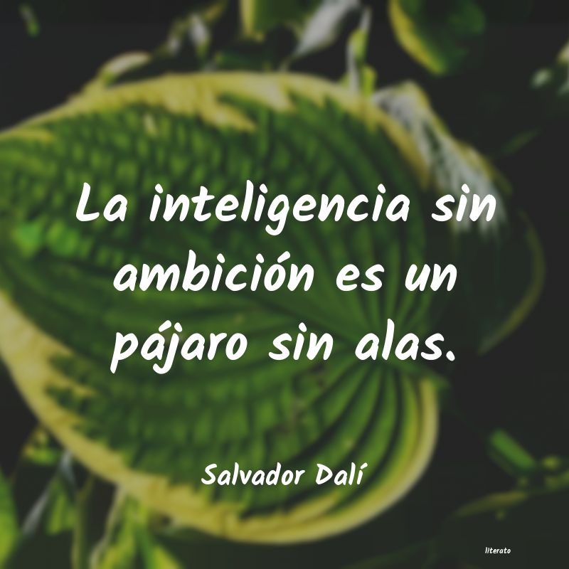 frases de Salvador DalÃ