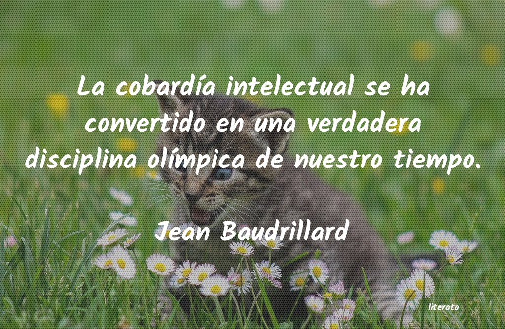 Frases de Jean Baudrillard