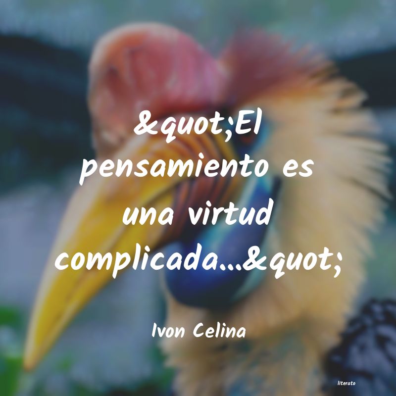 frases de Ivon Celina