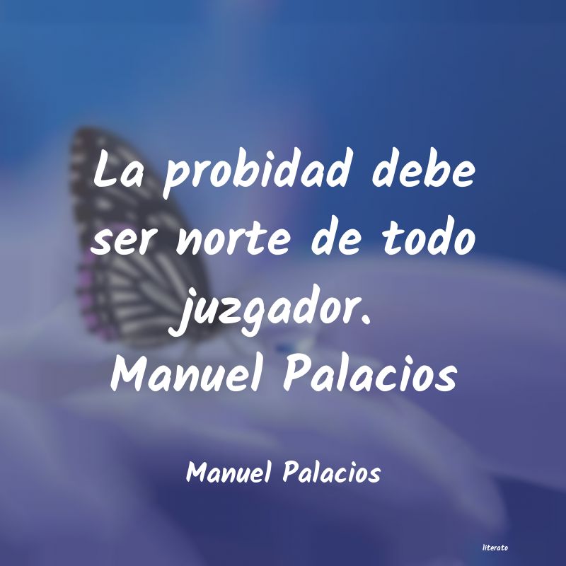 Frases de Manuel Palacios