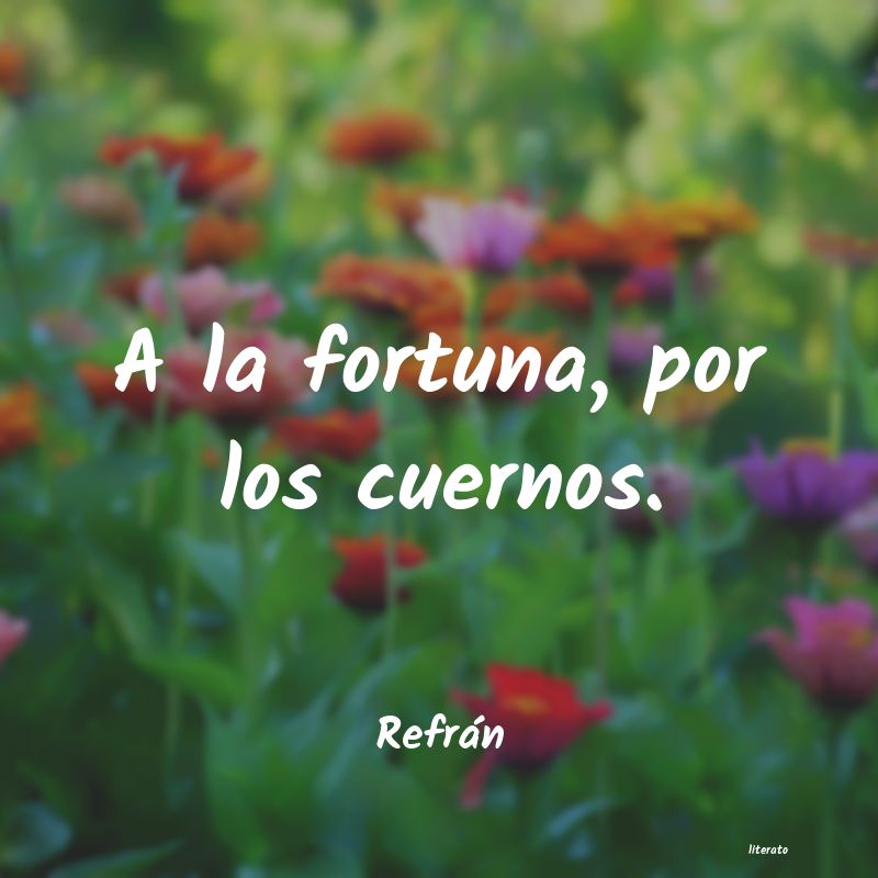 Frases de Refrán