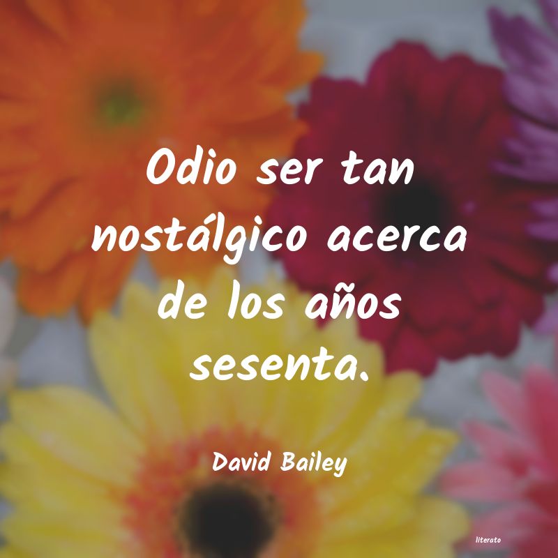 Frases de David Bailey